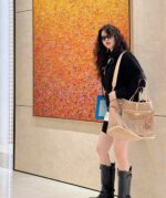 شنطة لويس فيتون LV - الصورة 9